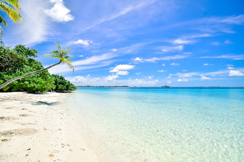How to Enjoy Your Time at Calangute Beach in GOA?
