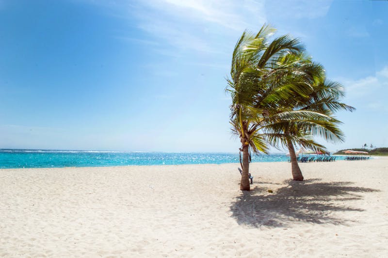 Explore the Hidden Gems in Goa